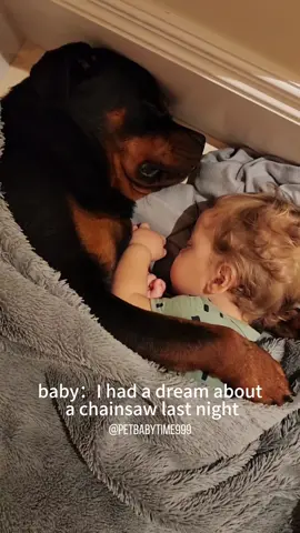 The dog is snoring!!!#dog #pet #funny #dogsoftiktok #fyp #foryoupage 