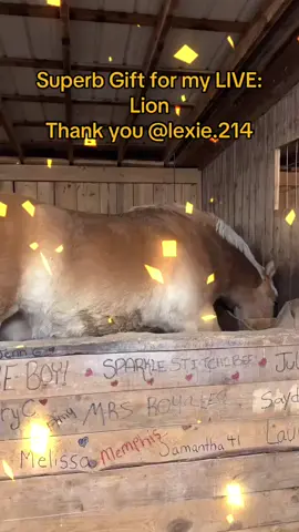 One of the best Gifts in my LIVE. Thank you, lexie.214! For your support to my content.@lexie.214 #livegift #lion 