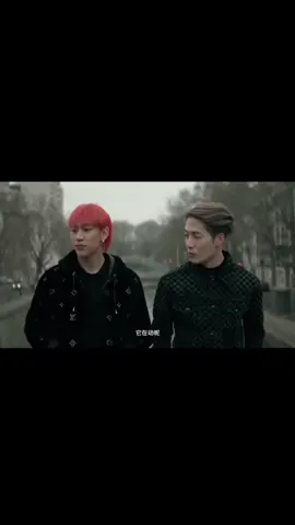 เดินควงแขนชมวิวอินปารีสแล้วค่าาา #jacksonwang #bambam #แบมแบม #แจ็คสันหวัง #got7 #bambamxlouisvuitton #fyp 