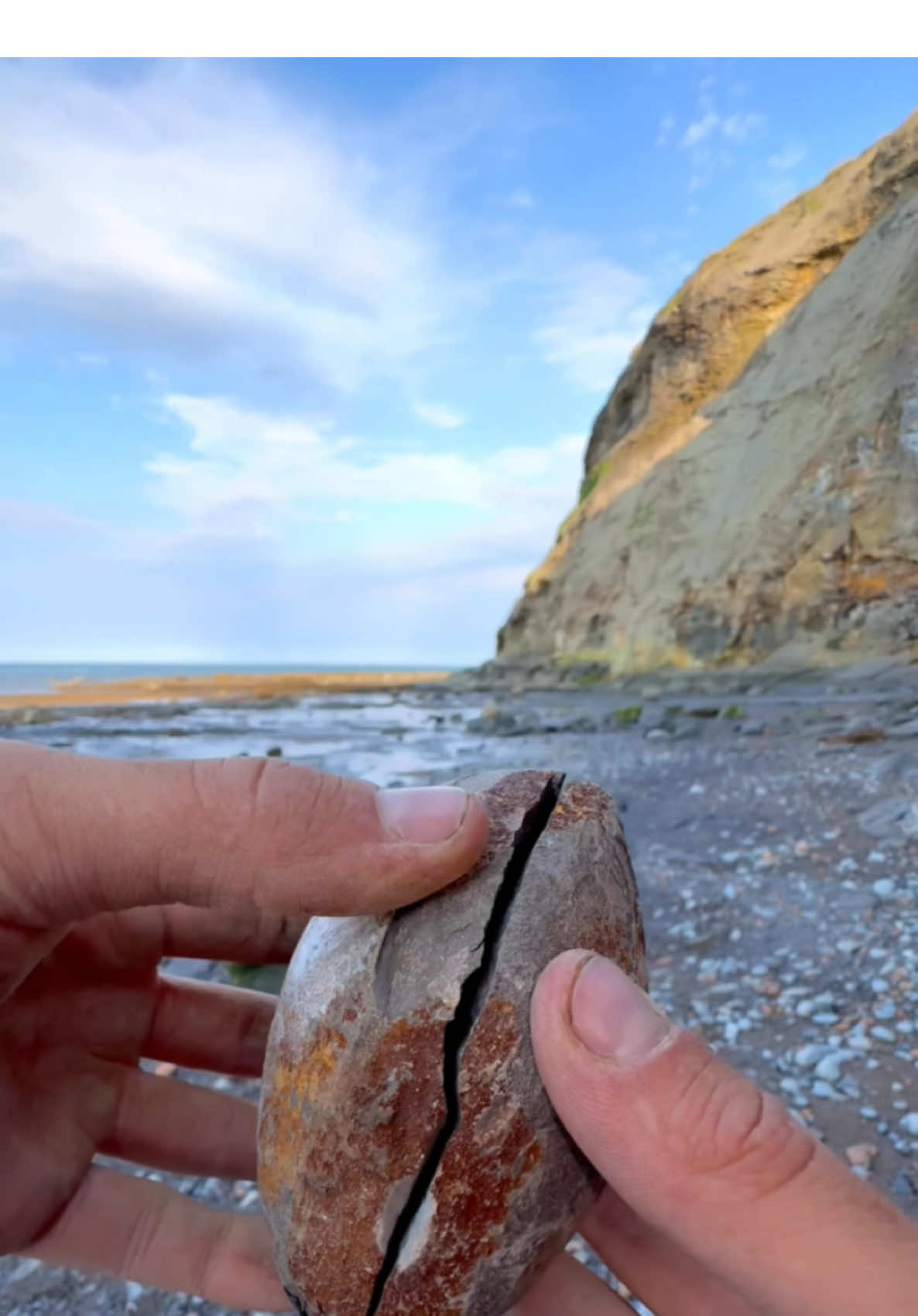 Here is a suspicious rock that we found on a recent beach and opened up with our hammer! 🏝🌊 Inside, a beautiful Dactylioceras ammonite from the Jurassic 😍🦑 These ammonites are around 180 Million Years Old 💀🏝 We also found some Belemnite squid fossils! Thank you for supporting our page! 🐊 #natural #nature #fossil #fossils #ancient #animals #art #ammonite #ammonites #dinosaur #scientist  #minerals #paleontology #whitby #geologist #dorset #geology #charmouth #jurassic #yorkshire #beach #coast #sea #water #squid #fyp