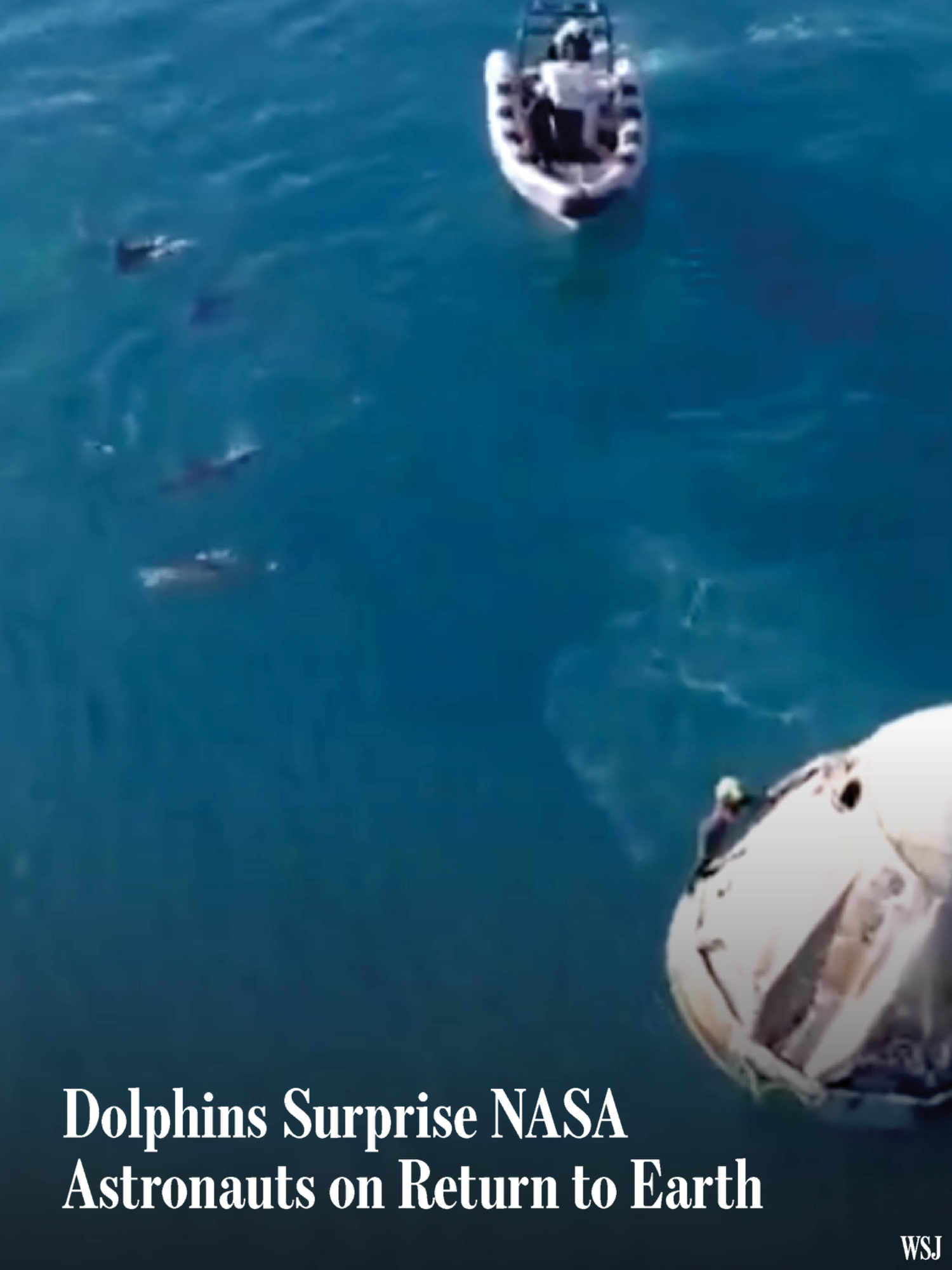 A pod of dolphins surprised a pair of NASA astronauts who splashed back to Earth after more than nine months in orbit. 