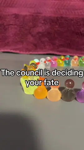 #council #ducks #fatedecided #amazing #your #youramazing 