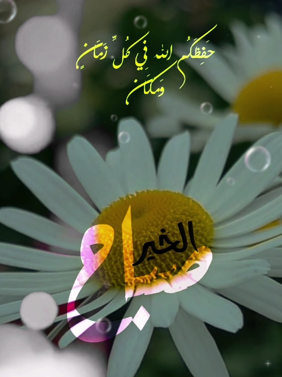 #دعاء_الصباح #صباح_الخير #صباحكم_أحلى_صباح #اسعد_الله_جميع_اوقاتكم🌹🌹 #دعاء #الخمس #يارب❤️ #اللهم_امين #حالات_واتس #foryoupage #fypシ゚ #viralvideos #ArabTikTok #g @Symba 