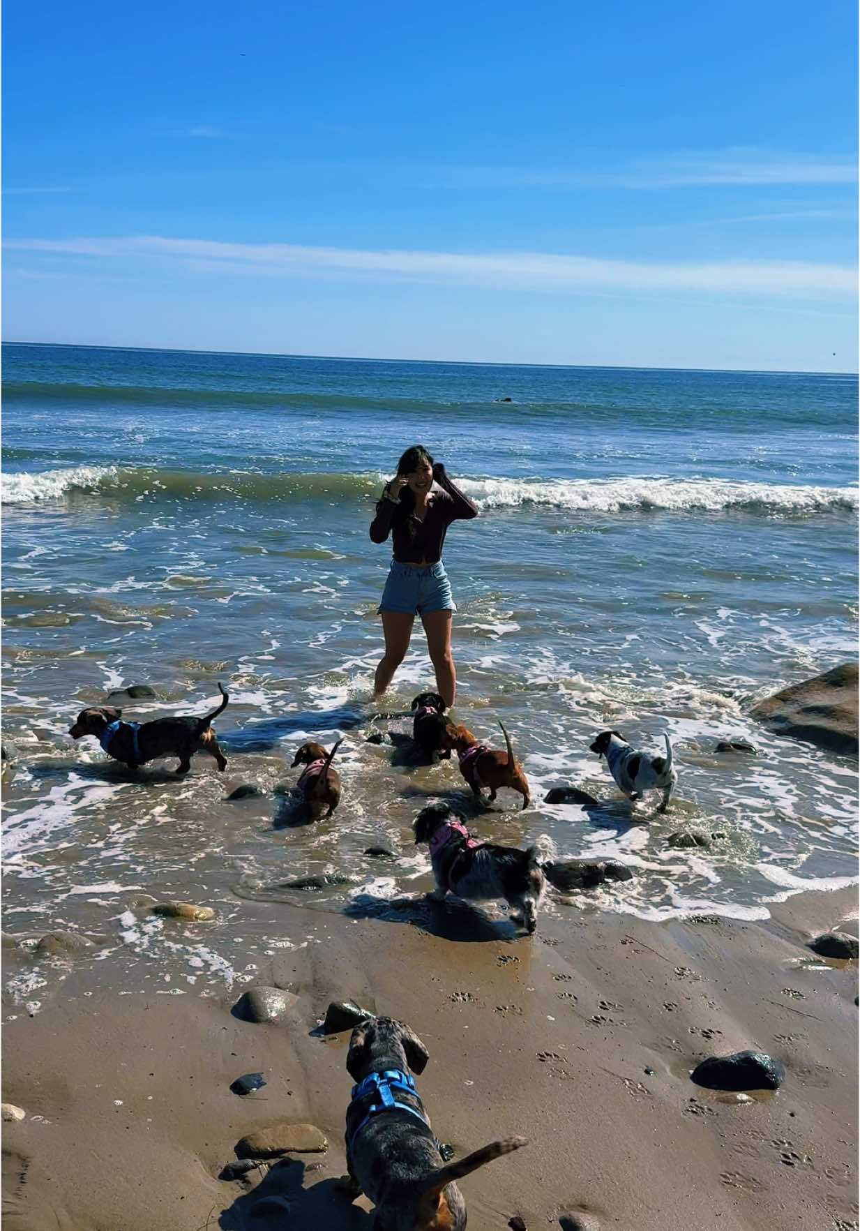 First time at the beach with the whole gang 🥹