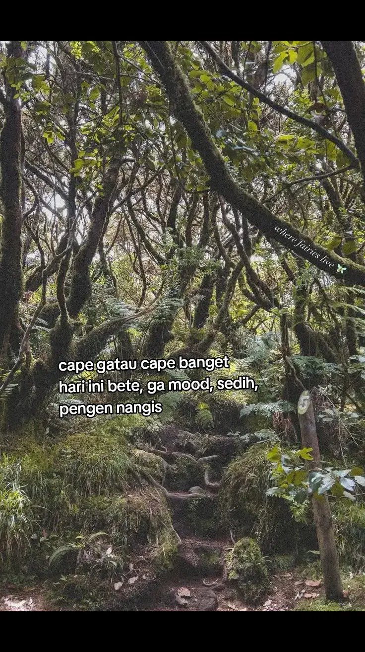 #galaubrutal #galaustory #foryoupage #quotes #fypシ #fyppppppppppppppppppppppp 