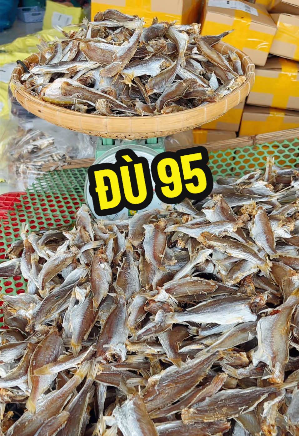 1kg khô đù giảm còn 95 cành #cadu #cakho #2025 #mukbang #tuhaohangviet #ancungtiktok #xuhuongtiktok #dacsancamau #buylocal #cobuncamau 