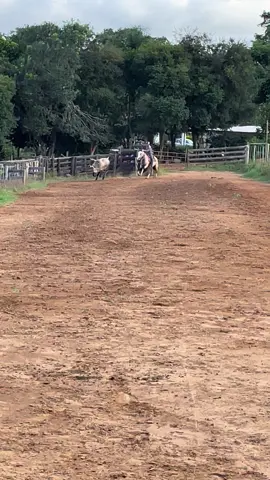 🤪🎯