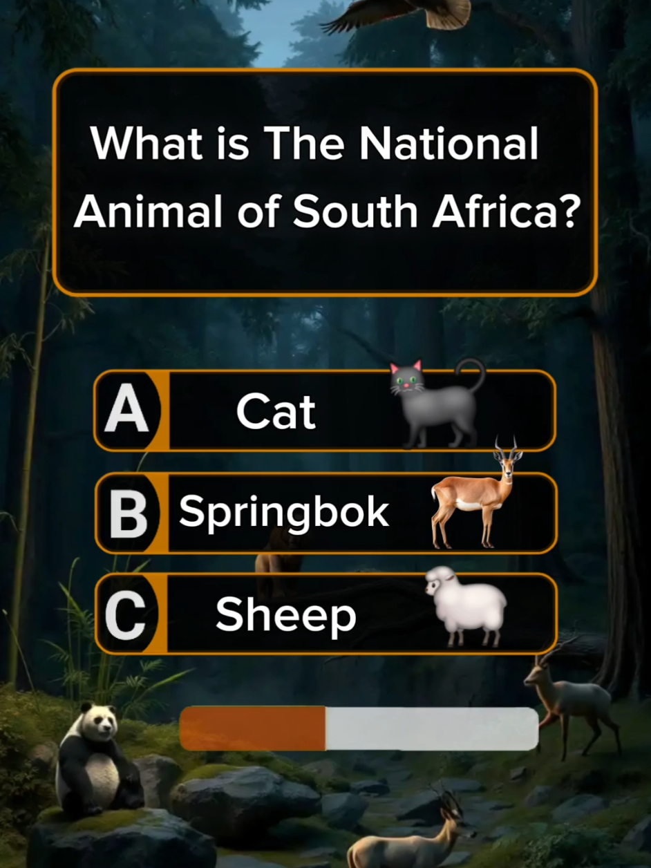 World Trivia Quiz: Can You Get 12/12? #quiz #quiztime #quizzes #generalknowledge #learn #trivia #quizgame #information #generalknowledge #question #Answer #trivia #LearnOnTikTok #UK #USA #africantiktok  #uktiktok #viral #fyp 