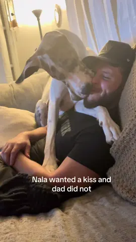 Nala kisses 😘 #greatdane #funnydogs #cutedogs #dogsoftiktok #relatable 