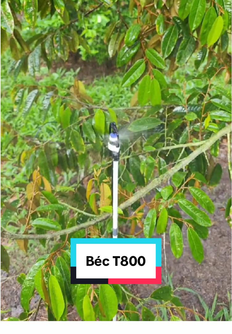 Béc T800 - mang lại sự đồng đều và hiệu quả cho từng gốc sầu riêng #sundrip #bectuoicay #t800 #xuhuong #tiktokviral #TuoiTieuThongMinh #NongNghiepXanh 