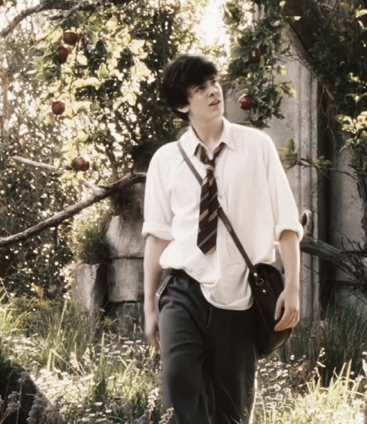 #edmundpevensie ౨ৎ 。*:･ﾟ[ i think i cooked 💌 ! ] ✷  #piastrisology #narnia #fyp #foryou #narniaedit #edmundpevensieedit #princecaspian #thelionthewiththewardrobe #princecaspianedit