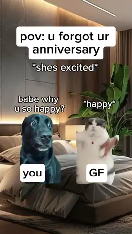 POV: you forgot your anniversary.  #catsoftiktok #letsgoviral #foryoupage #cats #fypシ゚viral #usatoday #Trending #fyp #usatiktok 