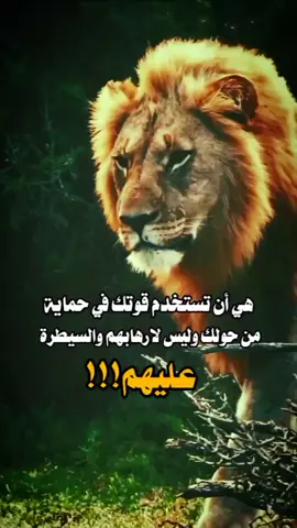 #كلمات #قويه  اكسبلور 👌 ... 