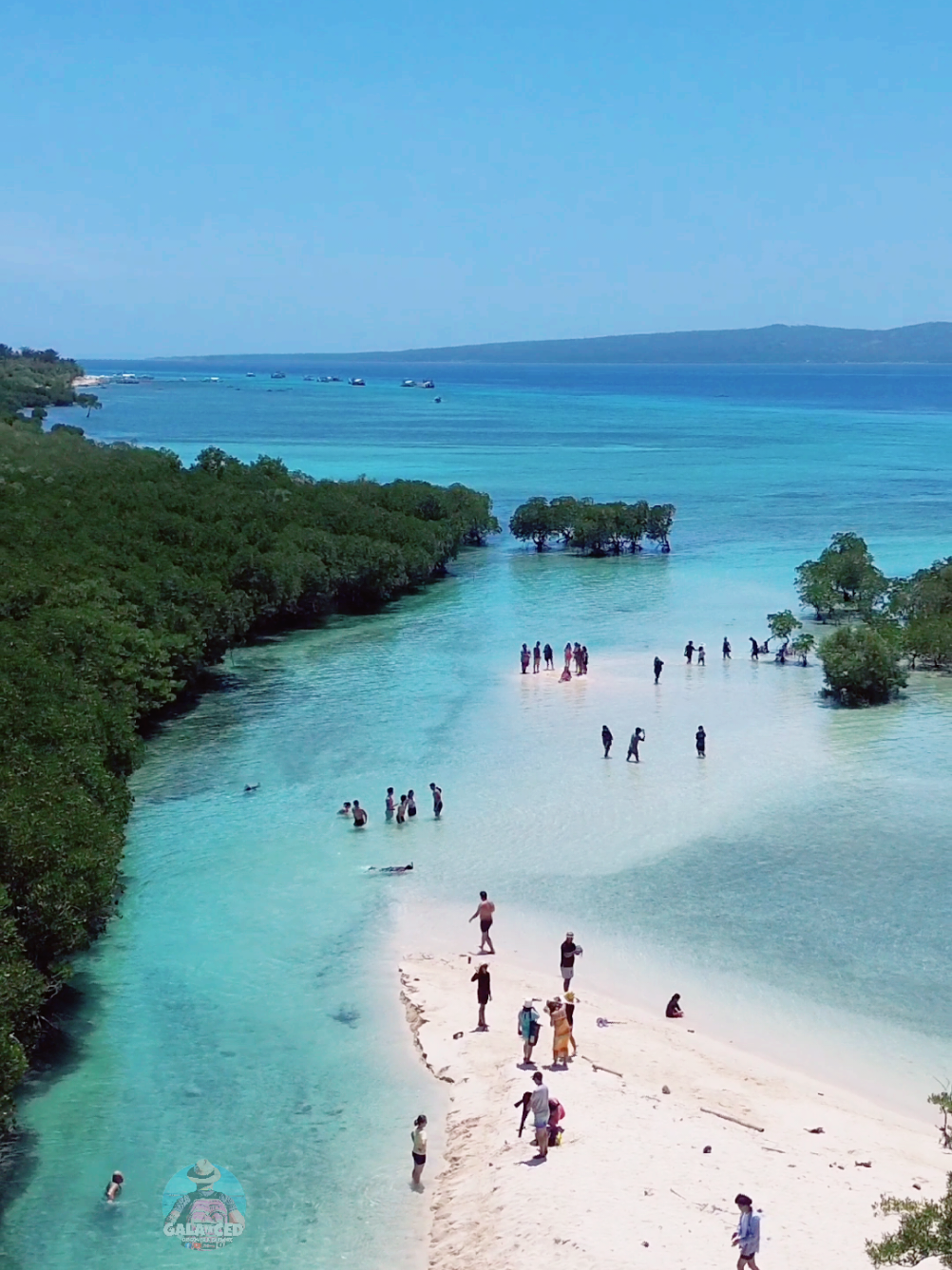 Mangrove and Sandbar of #AlibijabanIsland #fyp #solotravel 