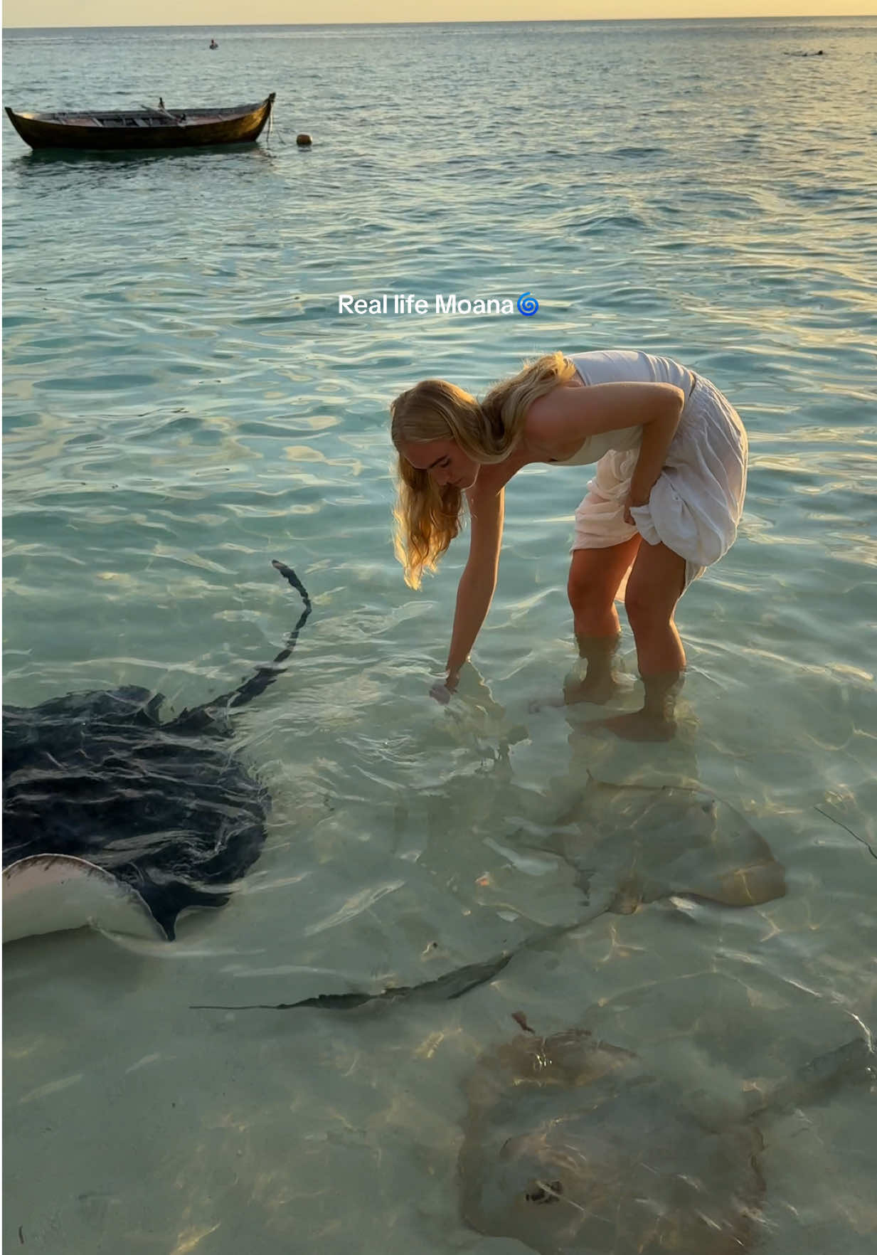 The most beautiful interaction of my life🥺🌀 #moana #stingray #ocean #oceanlife #travel #maldives 