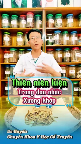 Thiên niên kiện vị thuốc hỗ trợ về bệnh đau nhức xương khớp#bsquyenyhct82 #thoatvidiadem #thoaihoacotsong #xuhuongtiktok 