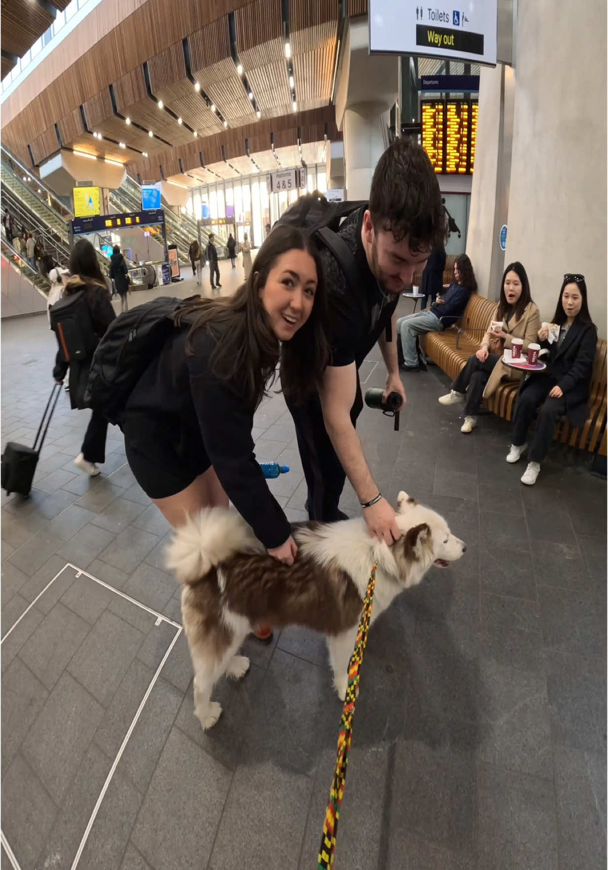 Interactions with my dog!!  #husky #viral #fyp #foryou #doglover #petlover #london 