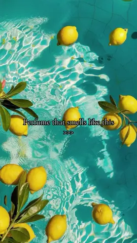 Summer perfume #fragrances #perfume #Summer #best #citrus #vacation #parfum #parfüm #bestfragrances #parfumereccomended 