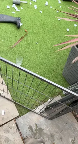 Have a Frenchie they said. 5 mins she was left for while I got the washing out. Listen to the end. She definitely has ADHD. #fyp #frenchbulldog #frenchie #dogs #Love #familytime 