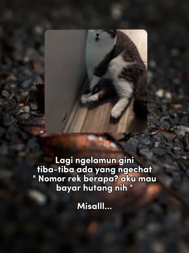 😌😌😌#assalamualaikum #fypp #fypviralシ 
