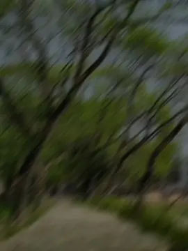-Thik ase:)🤧😷 #foryoupage #trending #backgroundvideo #_its_rimon1 #bangladesh🇧🇩 