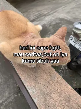 #justkonten #katakata #masukberanda #sadstory #sad 