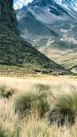 #traveltiktok #fypシ゚viraltiktok #chimborazo🇪🇨 #travel #paratii #sefeliz 