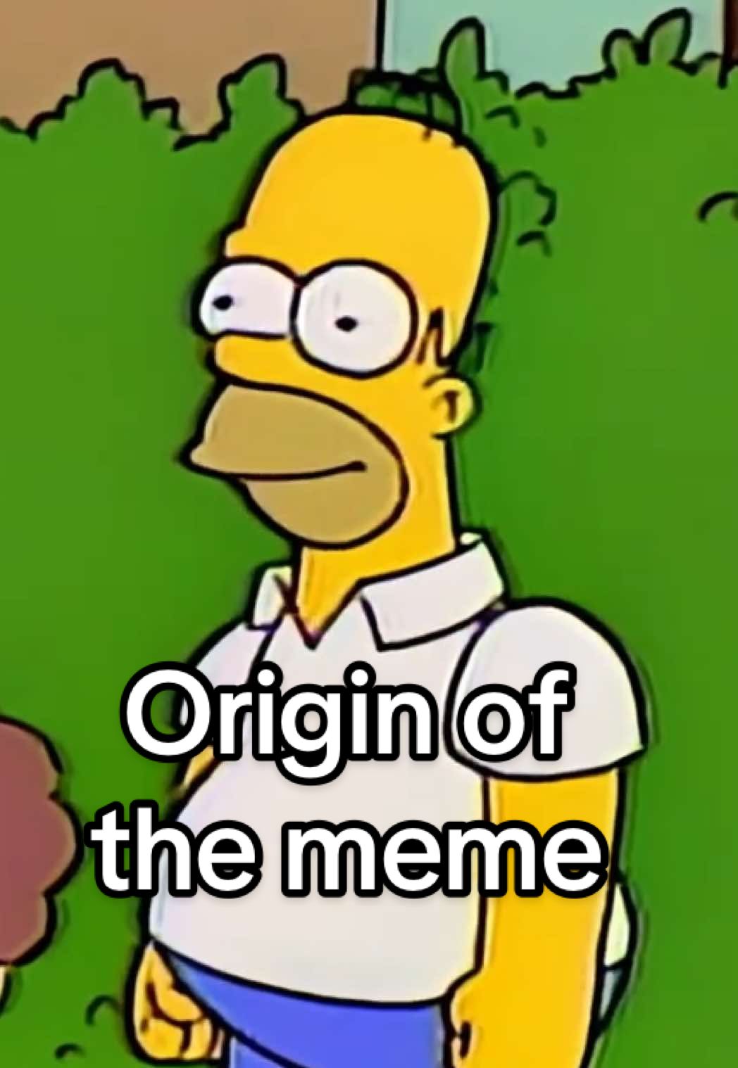 It's been just over 30 years since the internet's favourite meme was born. Stream the new season of #TheSimpsons only on Disney+.