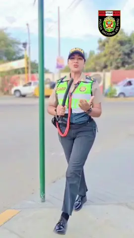 La Policía Nacional del Perú te pide que respetes el semáforo. ¡No te arriesgues!, detente en rojo y avanza con precaución en verde!