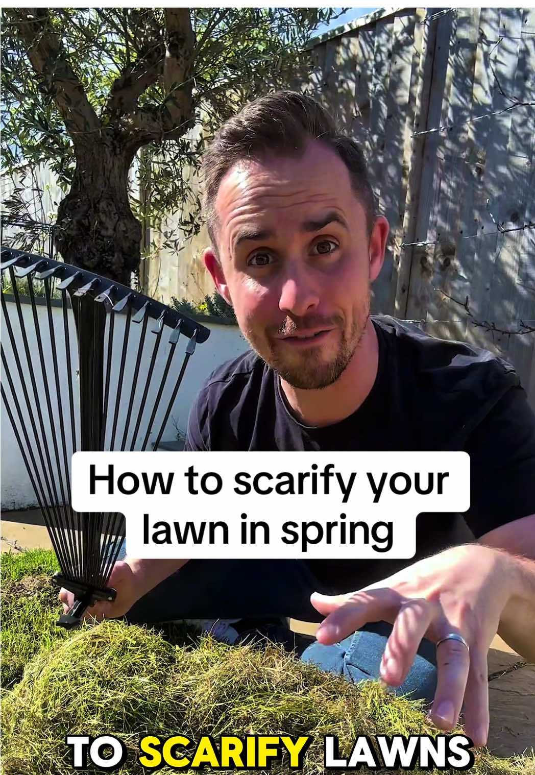 How to scarify your lawn in Spring Over time, the base of a lawn becomes congested with thatch and moss which inhibits airflow around the grass. And moss, if left to flourish, can take hold entirely. Before you scarify, mow the lawn - this will give you better access to the thatch and make the while process easier. Using a spring tine rake Gently pull the rake back multiple times while criss crossing your way over the lawn. Mechanical scarifiers do the same job with reduced time and effort. Be careful to set it to the right height and so the bladed scarifying drum can do the work. We want to keep some thatch so don't scarify too deeply, below 1cm deep of thatch is good.