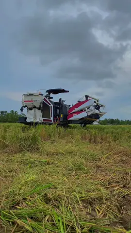 #yanmar 