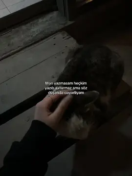 #olansheydii 