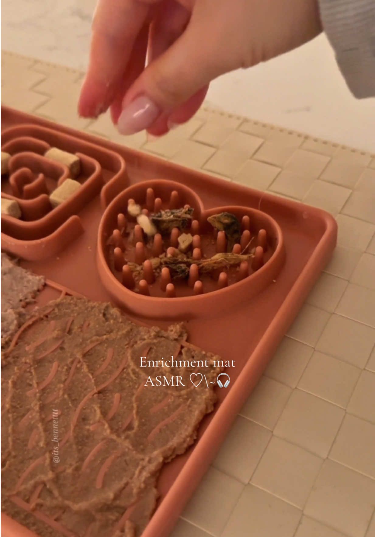 enrichment mat for my ragdoll cat  | ASMR 🎧 #ragdollcat #enrichmentforpets #catenrichment #catfeeding #catfood #asmr #cateating #catasmr #catcare #lickmat #petnutrition #catnutrition #asmrsounds 
