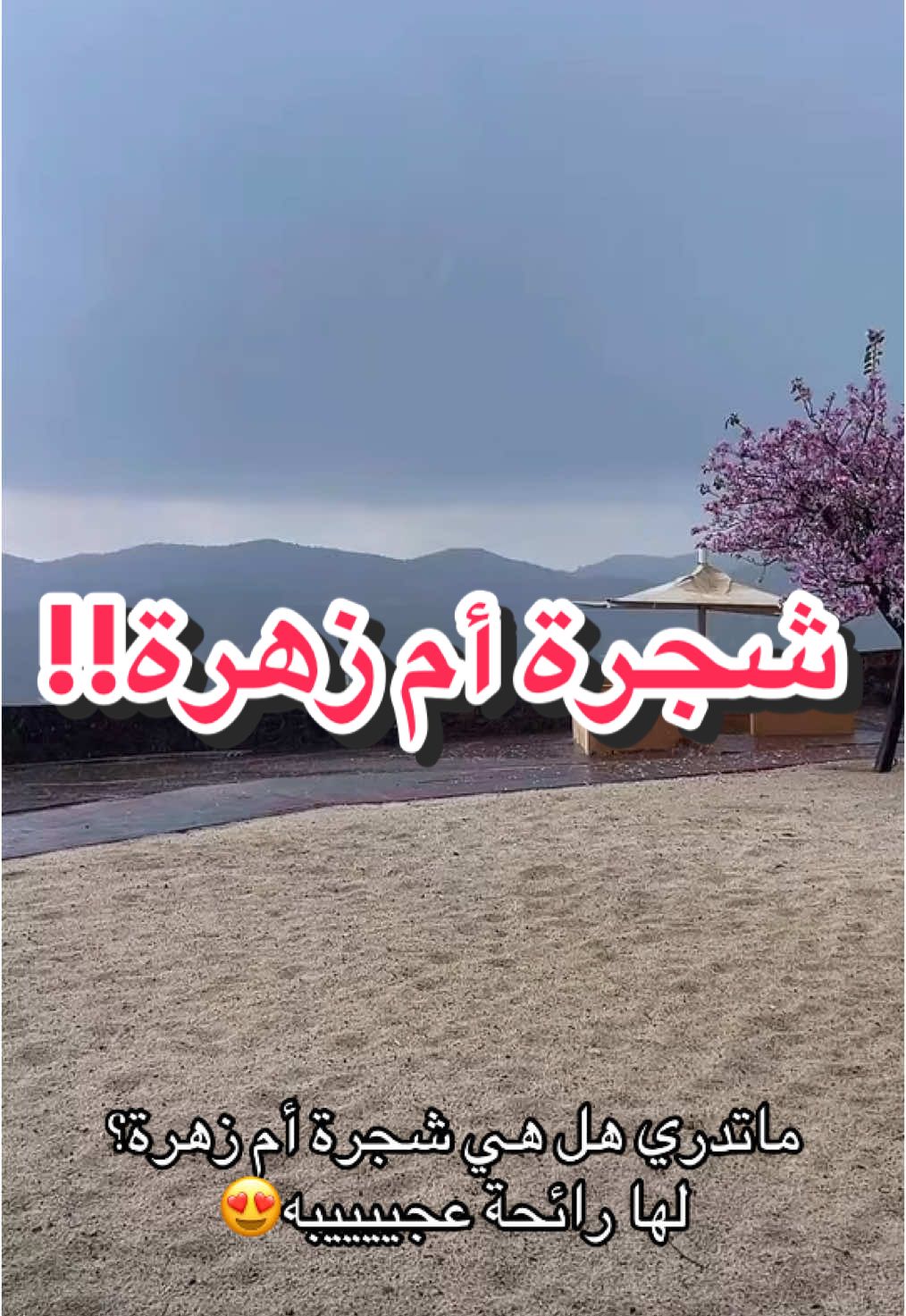 الجمعه ٢١ رمضان ١٤٤٦ هـ    طريق الجنوب #شرى #ًتصويري #تصويري📸 #بلجرشي #الجنوب #مطر #تصميم_فيديوهات🎶🎤🎬 #CapCut #اكسبلور 
