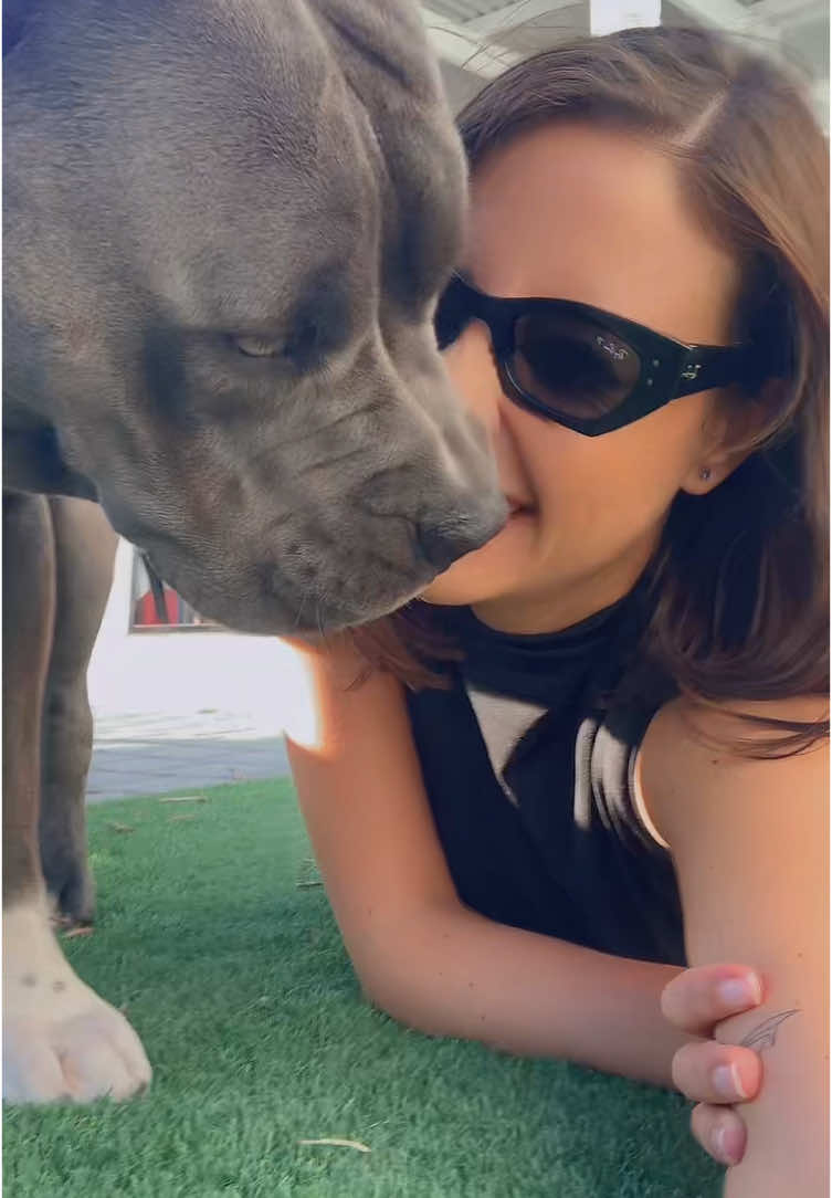 Having you in my life has taught me not to judge by appearances. You may look big and scary but you are the most gentle, loving & friendly fur child. I see how people look at you & avoid you, it breaks my heart.  Thank you to all the amazing humans who stop to show Lexi some love♥️ it really brightens up her day. 