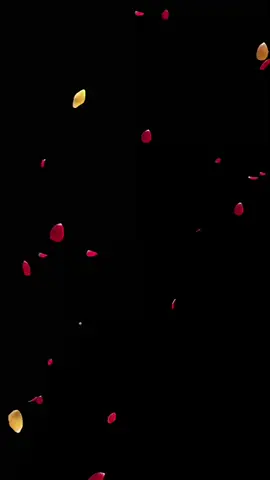 Live Wallpaper Flying Petals #livewallpapers #animations #flyingpetals #fondodepantallaanimado 