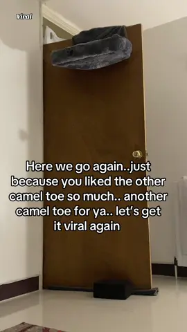 Eventually cracked that TikTok algorithm it seems the door and the camel toe always hit the spot🤣🤣🤣 let’s go again! #camel #vir #viral_video #viralvideos #viralditiktok #viralfyp #