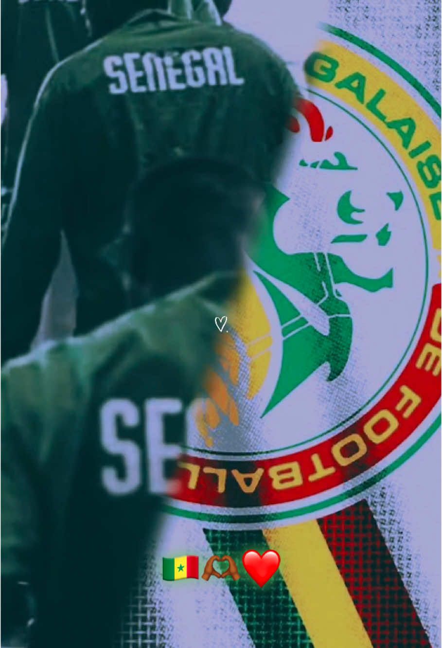 🇸🇳✨ #equipenationalesenegal #omzolemarseillais💙🇸🇳 #senegalaise_tik_tok🇸🇳pourtoichallenge #senegalrk #mankowuttindamli #senegal #gogaindés #diamniadiostadium⚽🇸🇳❤️ #equipedusenegal #senegalaise_tik_tok🇸🇳 #allezleslions #coupedafrique 