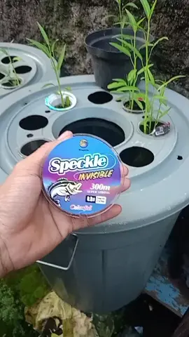 senar speckle invisible colour senar kamuflase  #senarspackleinvisiblecolour #senarbingolife #senarbintikbintik #senarkamuflase #senarantikeriting 