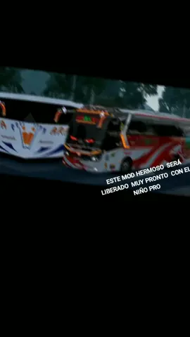 NIÑO PRO 