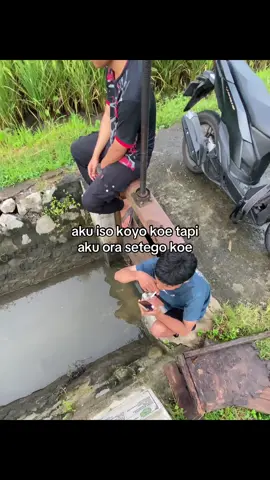 #ardynsyh 