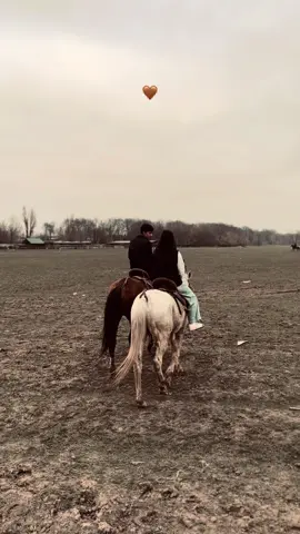 #🤎🤎 