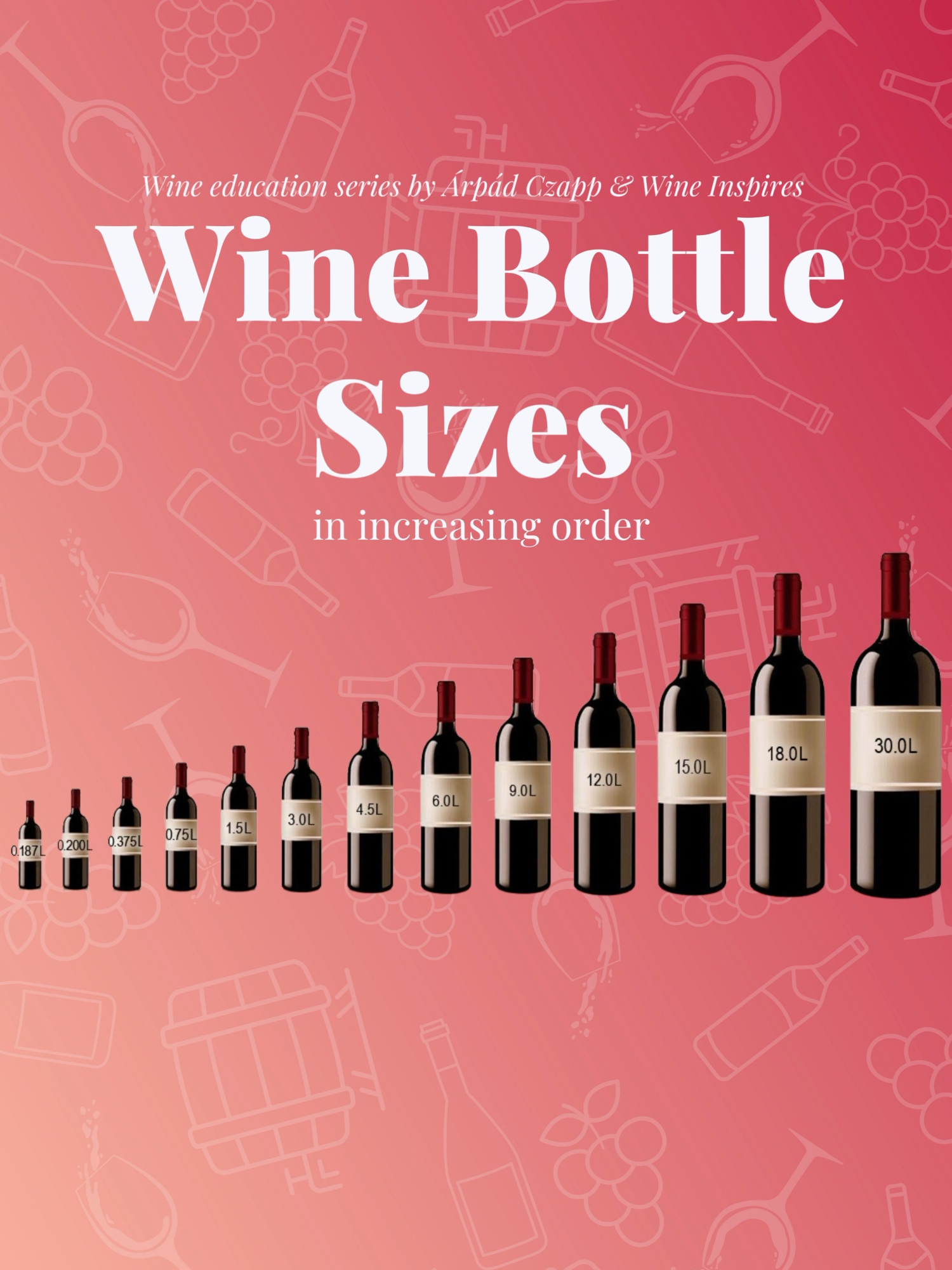 Wine bottle sizes in increasing order! 🍷🤗 #wine  #wineeducation  #winelovers