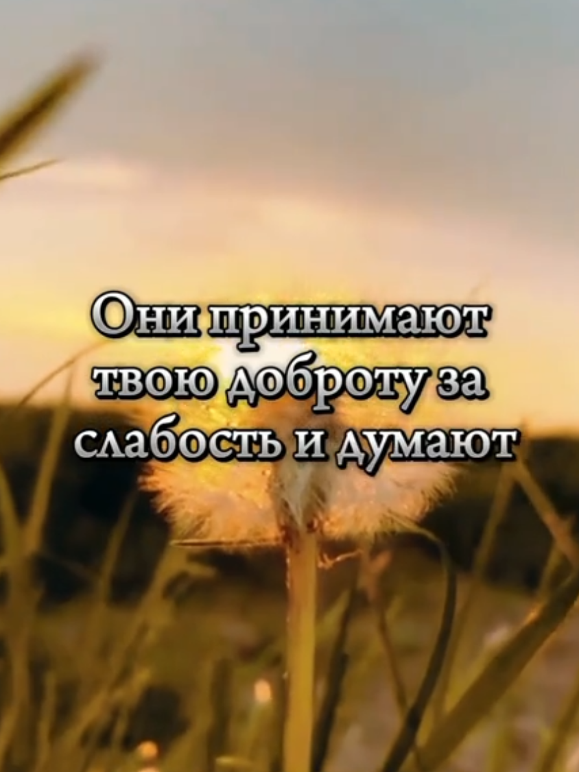 Не путай доброту #мыслиожизни  #мысли  #мысливголове 
