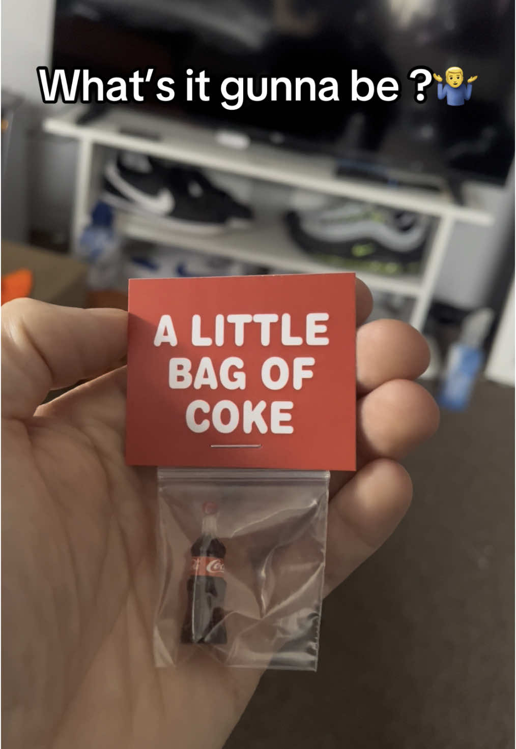 #fyp #foryou #littlebag #tiktokshop #funnygifts 