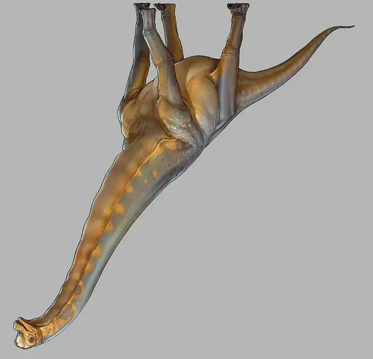🧐#Arts #centural #fyp #foryou #brachiosaurus 