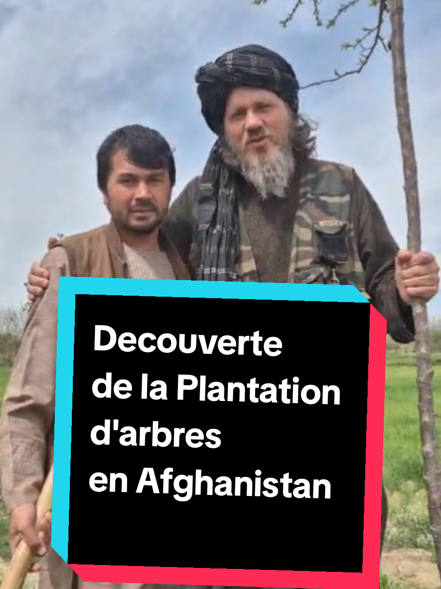 Défi Ramadan : 300 arbres en Afghanistan – il ne reste plus que 20 arbres à planter avant la fin du mois béni. Chaque arbre est une sadaqa jariya, une trace qui reste. Pendant que certains parlent, d’autres agissent. Et vous ? Participez dès maintenant : contactez-moi en privé pour acheter un arbre ou faire un don. #Afghanistan #DéfiRamadan #SadaqaJariya #PlanterUnArbre #ImpactDurable #AgirPlutôtQueParler #Ramadan2025 #Écologie #Avenir#Decouverte #Voyage 