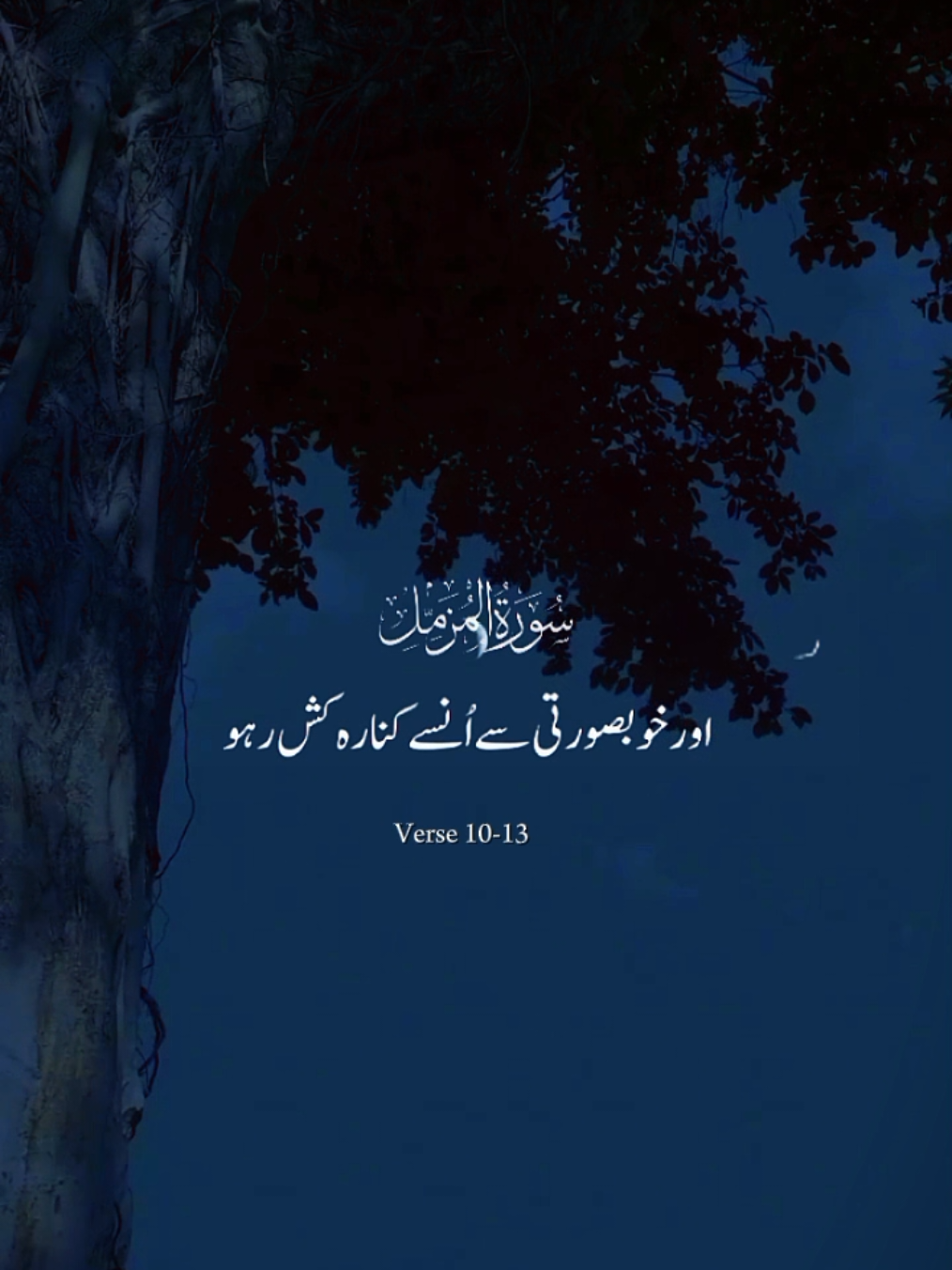 #qurantranslationurdu #quranrecitation #quranvideo 