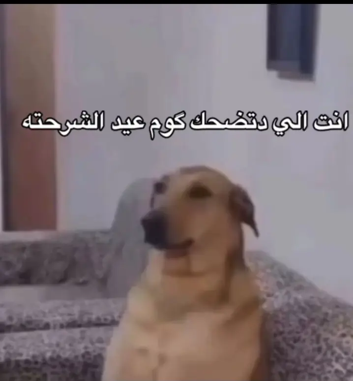 #الشعب_الصيني_ماله_حل😂😂  #عبارات #تصميم_فيديوهات🎶🎤🎬 