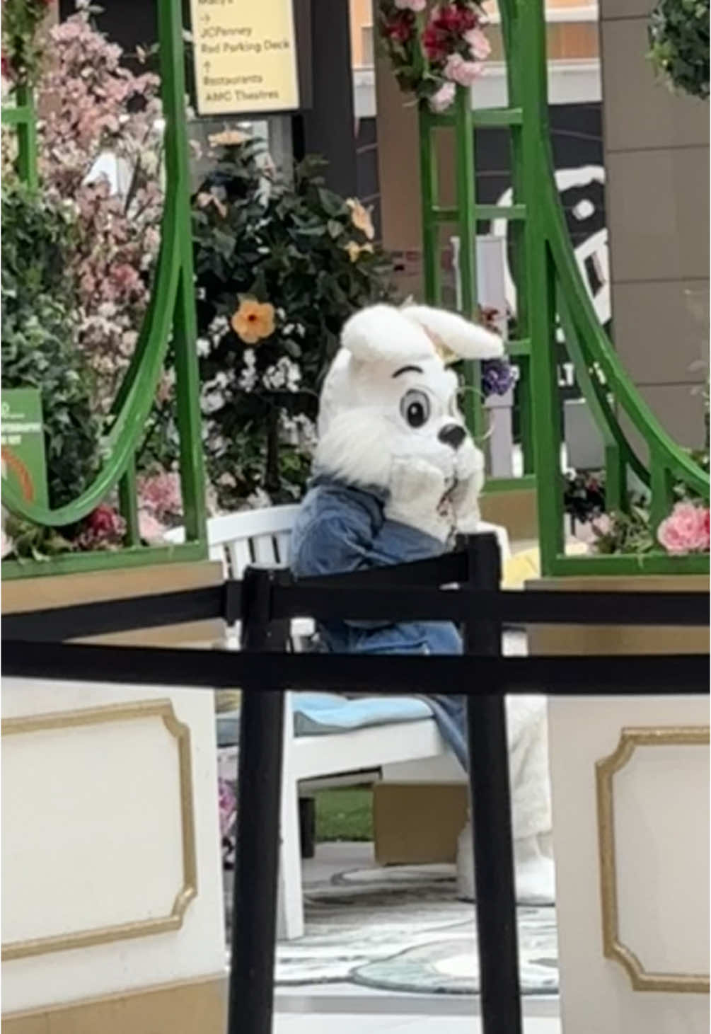 hello darkness it’s me, the easter bunny 